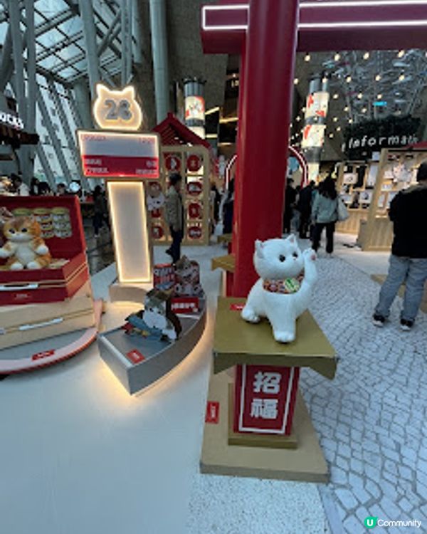 打卡熱點。貓奴必到