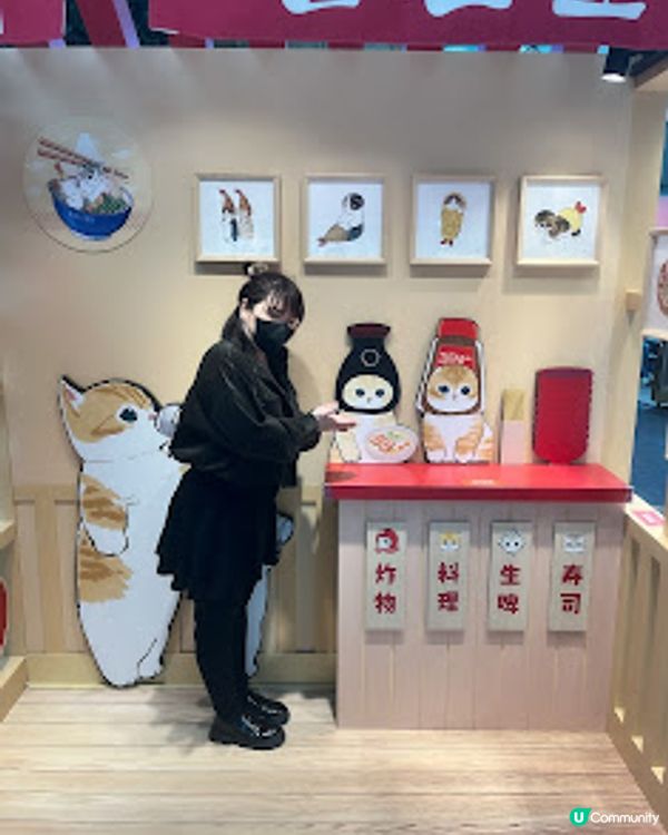 打卡熱點。貓奴必到