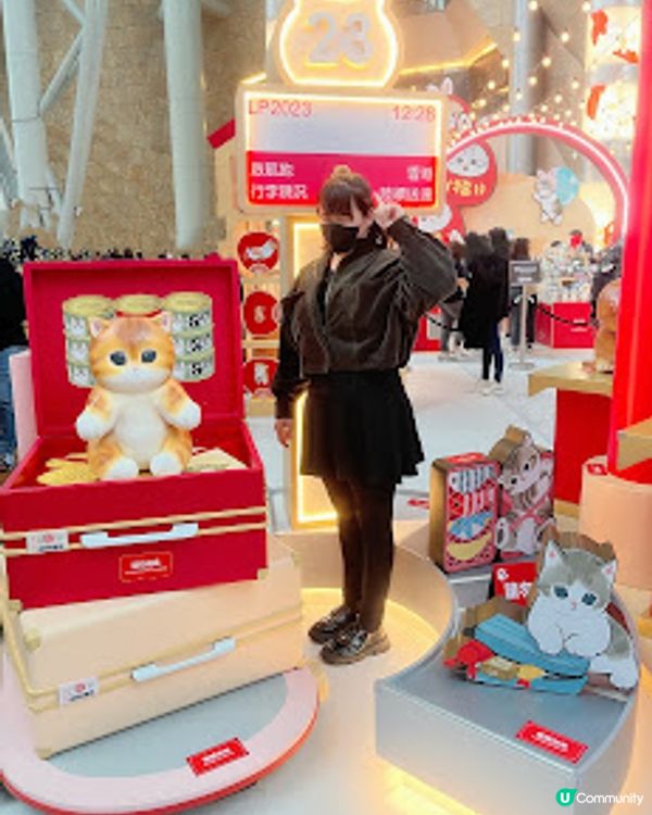 打卡熱點。貓奴必到