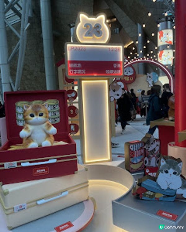 打卡熱點。貓奴必到