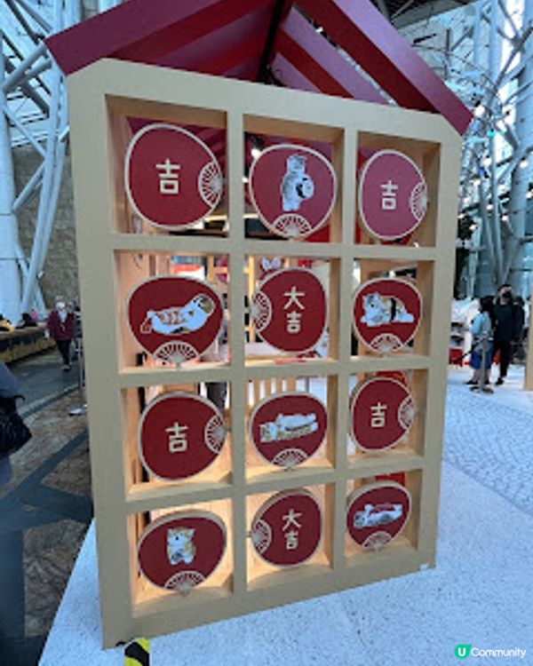 打卡熱點。貓奴必到