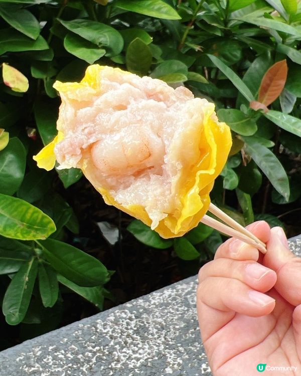 📌 荃灣│三真美食│巨大化手工燒賣巨大化大滿足
