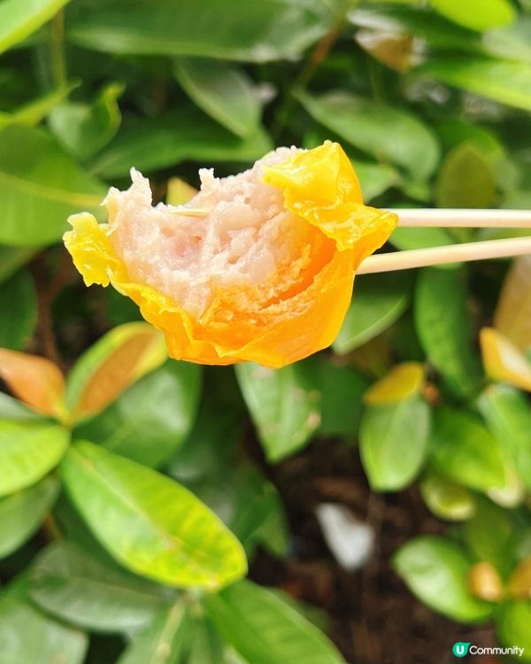 📌 荃灣│三真美食│巨大化手工燒賣巨大化大滿足