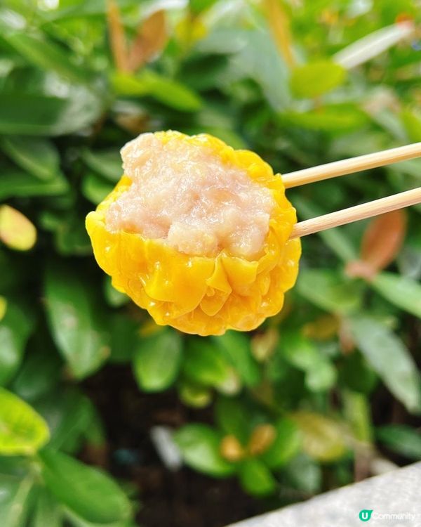 📌 荃灣│三真美食│巨大化手工燒賣巨大化大滿足