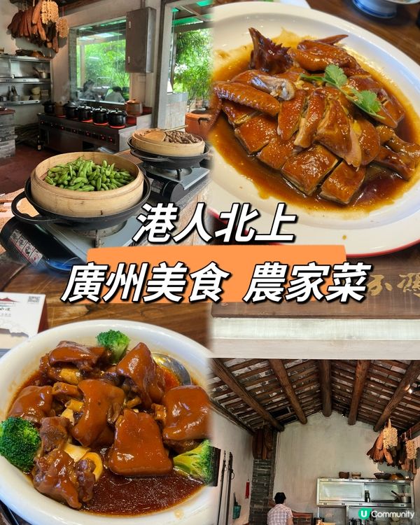 ｛港人北上｝本地人帶路廣州農家菜