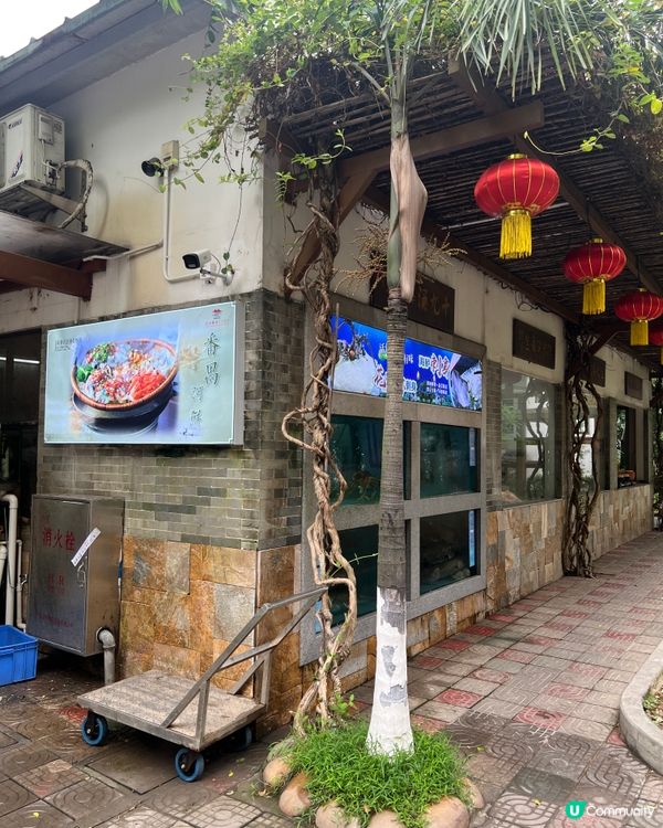 ｛港人北上｝本地人帶路廣州農家菜