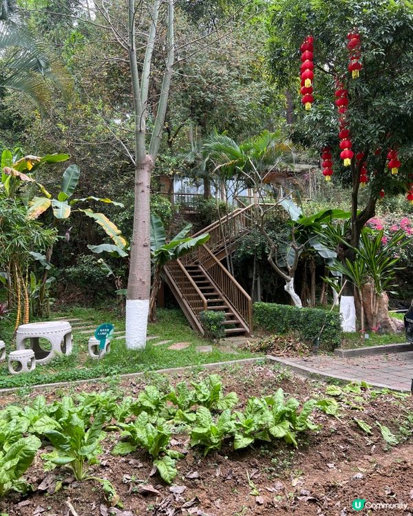 ｛港人北上｝本地人帶路廣州農家菜