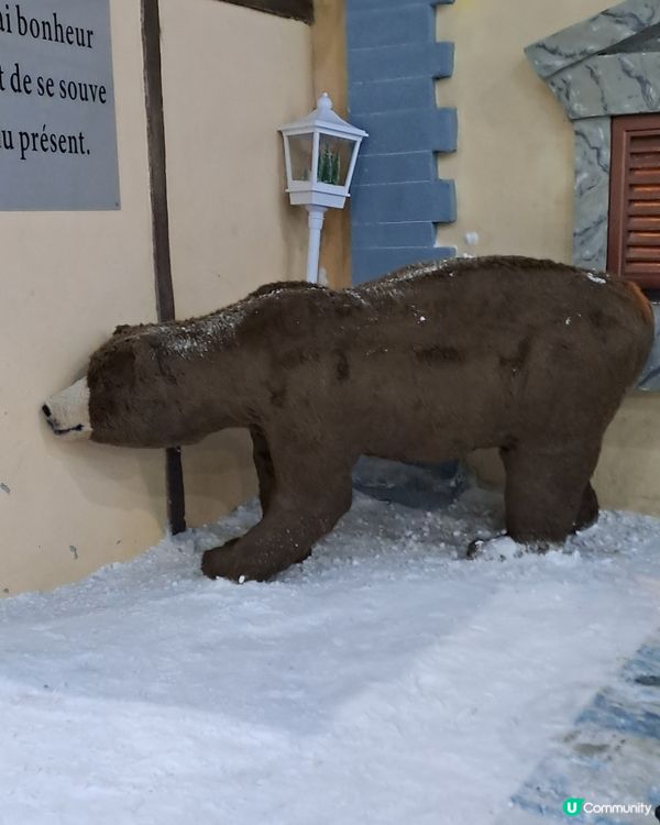 阿爾卑斯冰雪世界