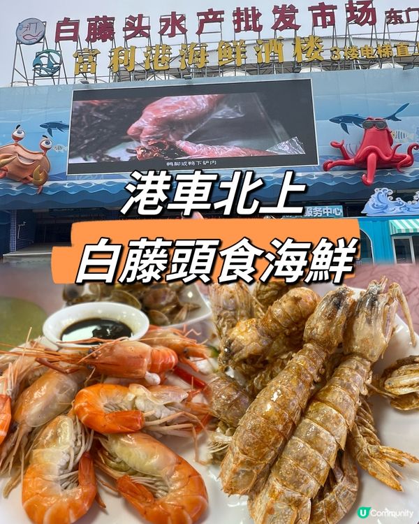 {港車北上｝ 珠海白藤頭海鮮超新鮮