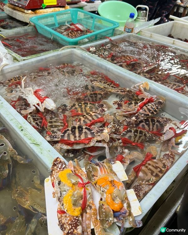 {港車北上｝ 珠海白藤頭海鮮超新鮮