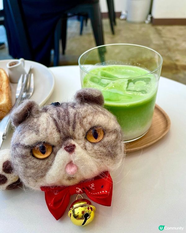 🇯🇵兔仔主題 一人打理高質cafe小店☕️