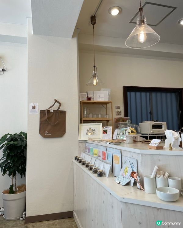 🇯🇵兔仔主題 一人打理高質cafe小店☕️