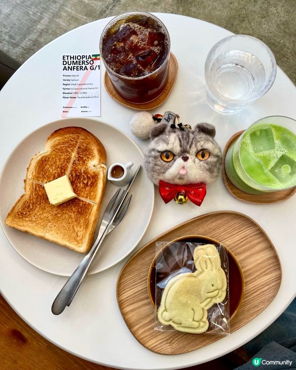 🇯🇵兔仔主題 一人打理高質cafe小店☕️