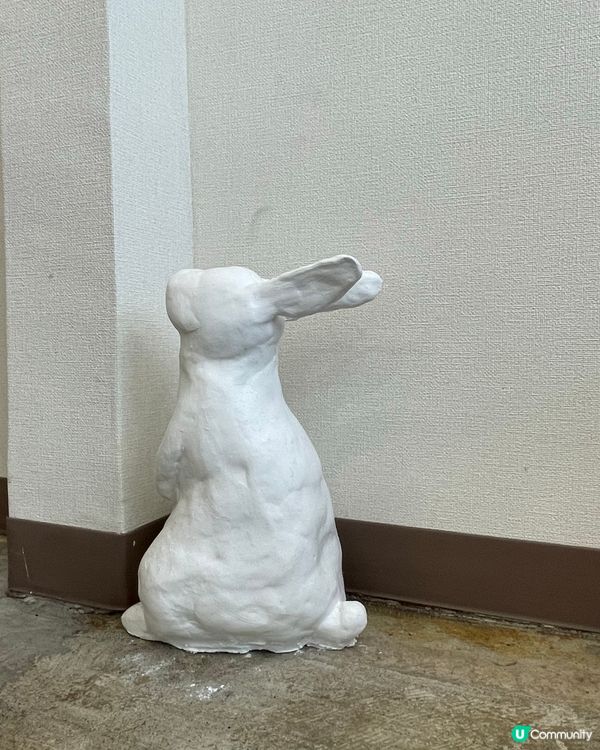 🇯🇵兔仔主題 一人打理高質cafe小店☕️