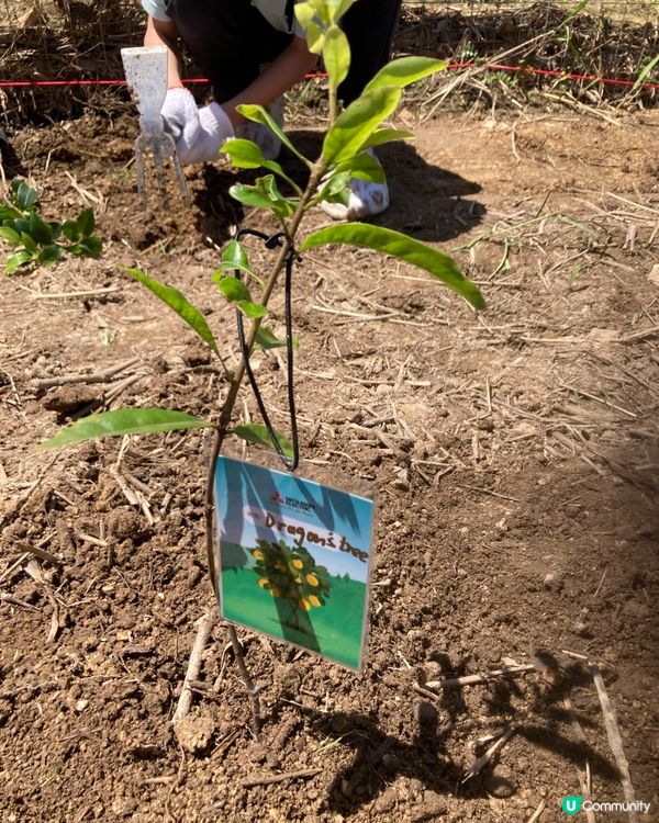 為地球，你也可以出一分力