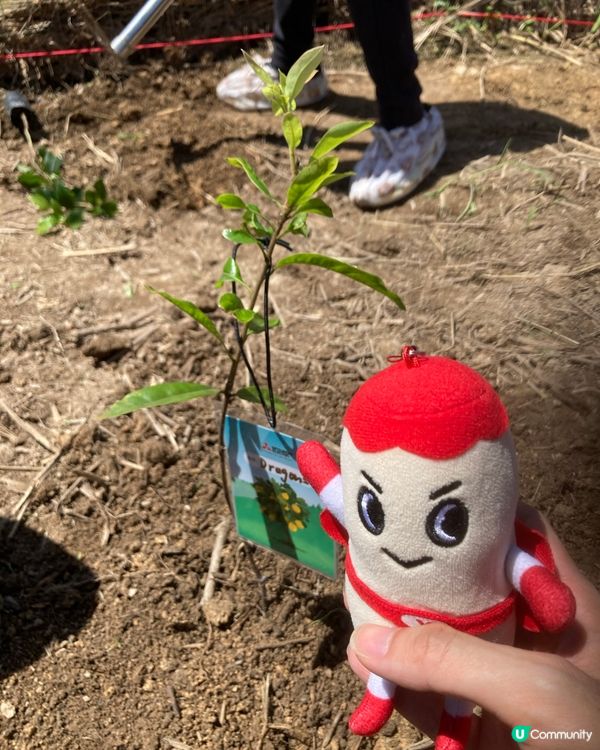 為地球，你也可以出一分力