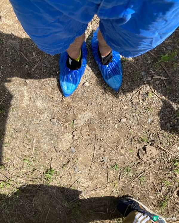 為地球，你也可以出一分力