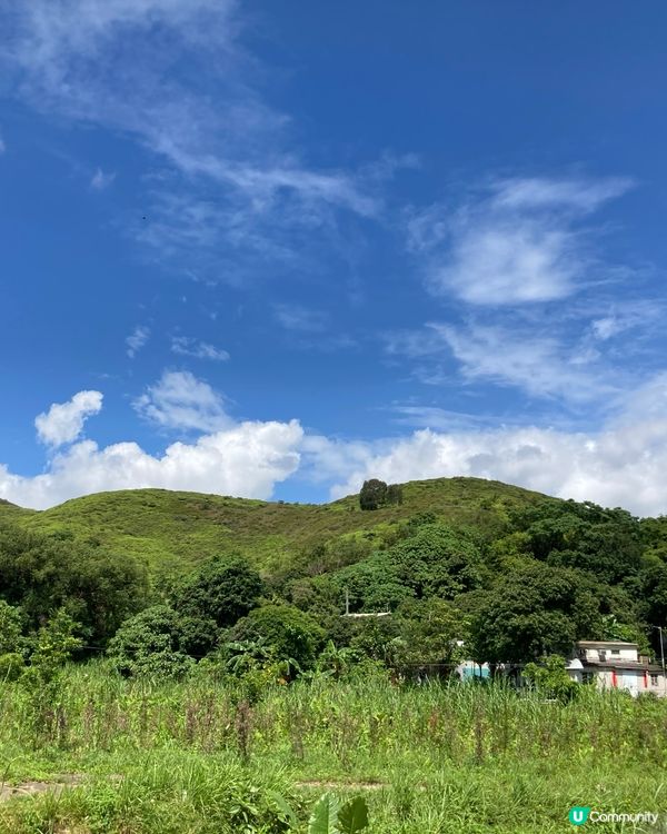 為地球，你也可以出一分力