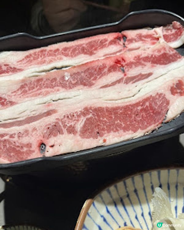 飲食。任食打邊爐。安格斯肥牛。淥鼎記