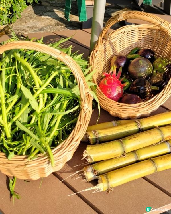 超抵［海岸扒房特選燒牛肉套餐］ @ Gold Coast Prime Rib ( 屯門香港黃金海岸酒店 )