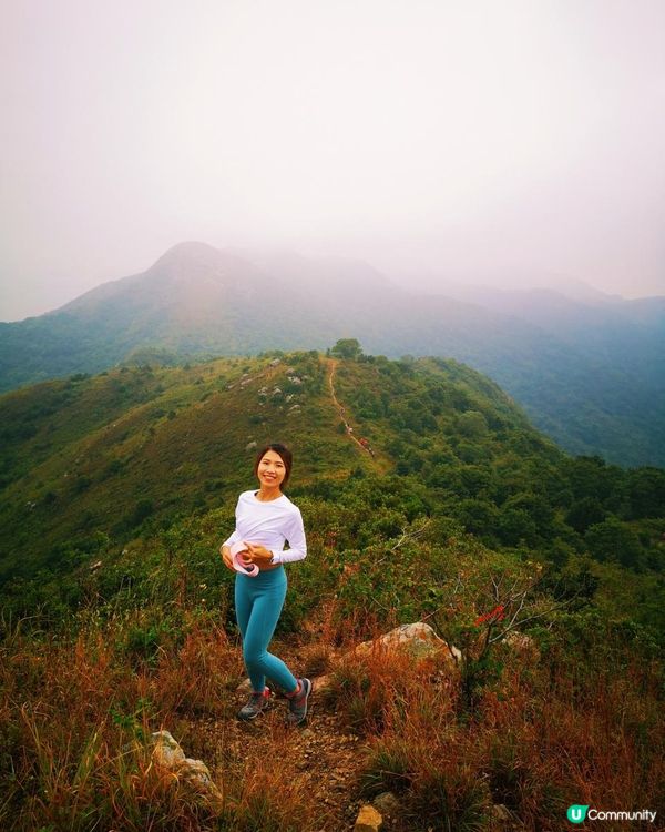 [跟我走。官方四大徑] 1 - 鳳凰徑 第5至 6段