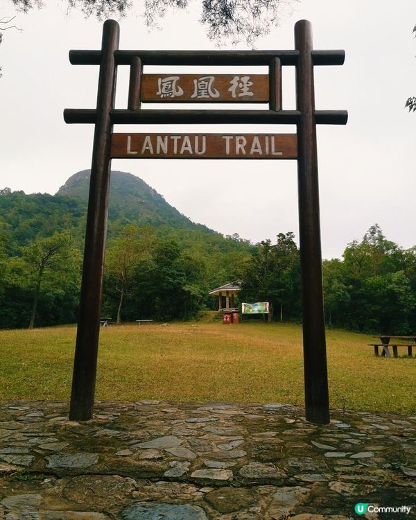 [跟我走。官方四大徑] 1 - 鳳凰徑 第5至 6段