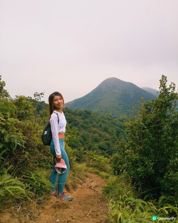 [跟我走。官方四大徑] 1 - 鳳凰徑 第5至 6段