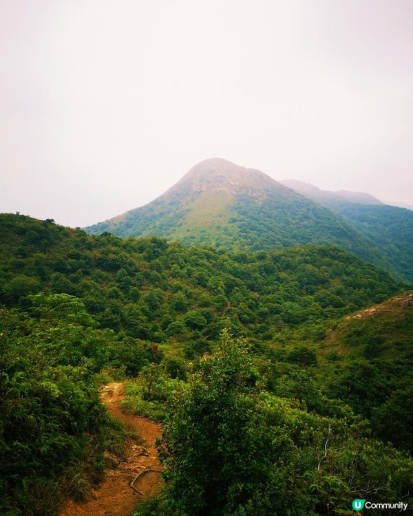 [跟我走。官方四大徑] 1 - 鳳凰徑 第5至 6段