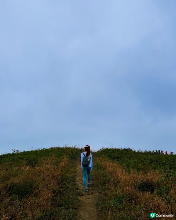 [跟我走。官方四大徑] 1 - 鳳凰徑 第5至 6段