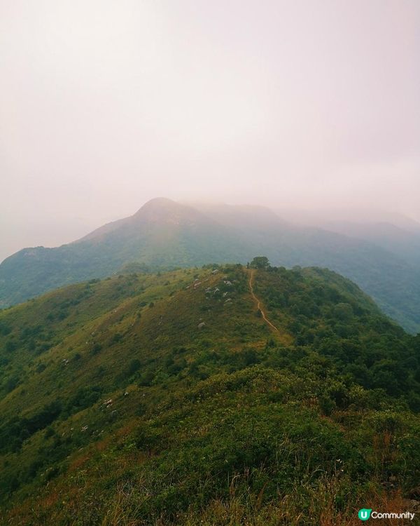 [跟我走。官方四大徑] 1 - 鳳凰徑 第5至 6段