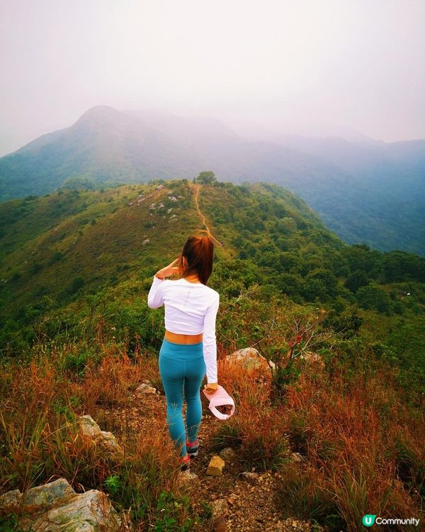 [跟我走。官方四大徑] 1 - 鳳凰徑 第5至 6段