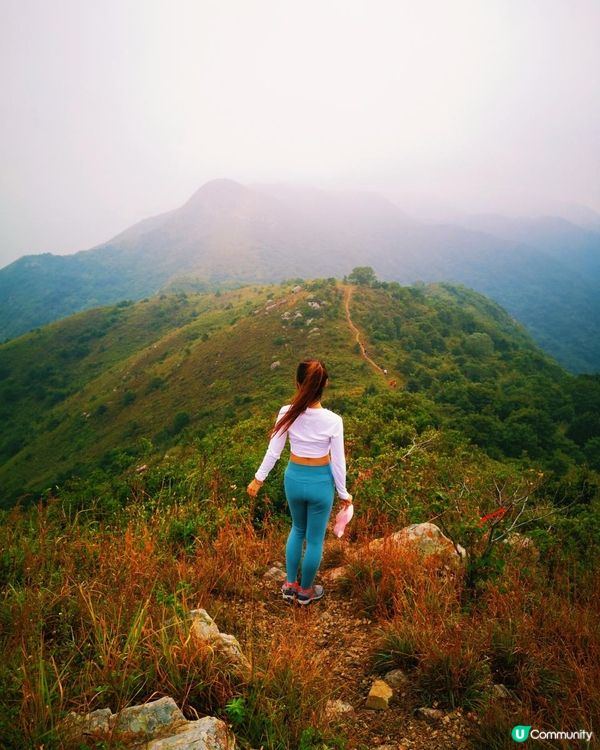 [跟我走。官方四大徑] 1 - 鳳凰徑 第5至 6段