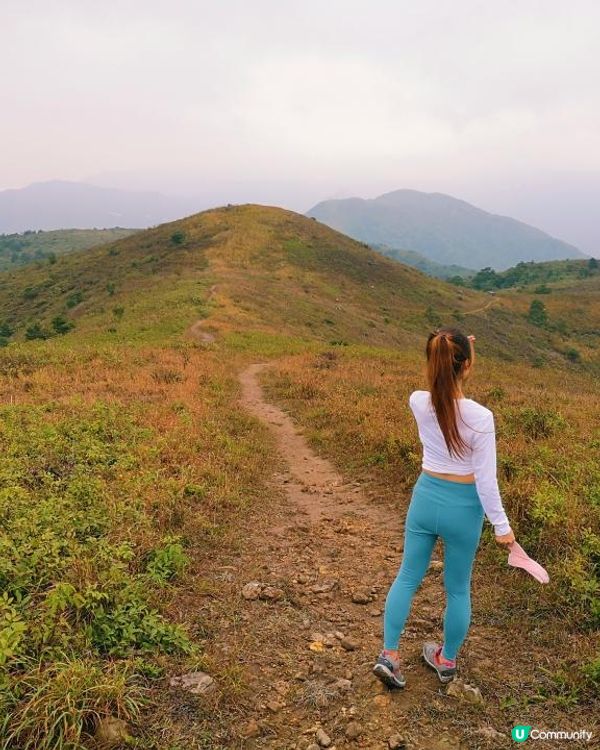 [跟我走。官方四大徑] 1 - 鳳凰徑 第5至 6段