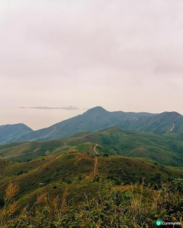 [跟我走。官方四大徑] 1 - 鳳凰徑 第5至 6段