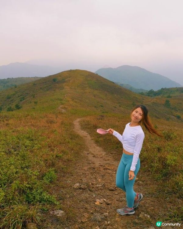 [跟我走。官方四大徑] 1 - 鳳凰徑 第5至 6段