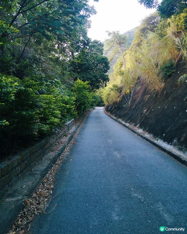 [行山要打卡] 27 - 筆架山 (畢架山)