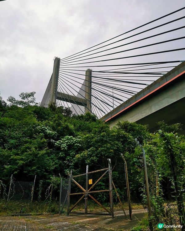 [行山要打卡] 26 - 馬灣。大嶺頭