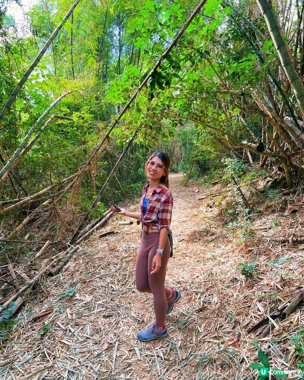 [行山要打卡] 26 - 馬灣。大嶺頭