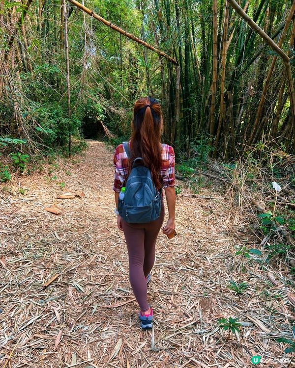 [行山要打卡] 26 - 馬灣。大嶺頭