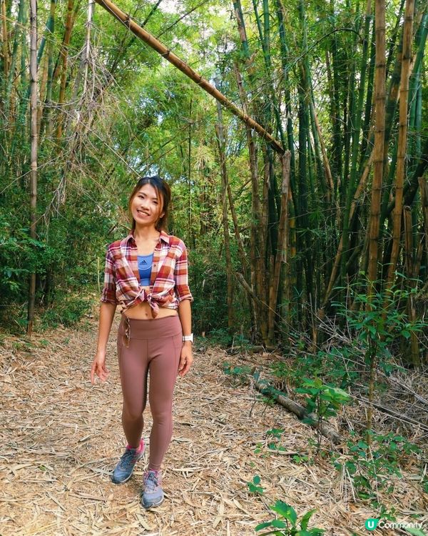 [行山要打卡] 26 - 馬灣。大嶺頭