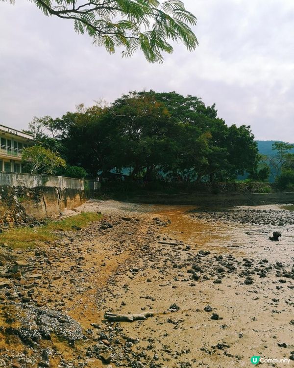 [行山要打卡] 23 - 新娘潭。照鏡潭