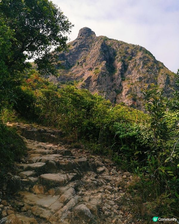 [行山要打卡] 22 - 彎曲山