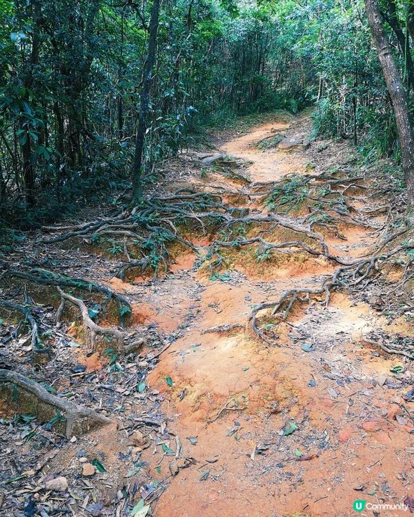 [行山要打卡] 22 - 彎曲山