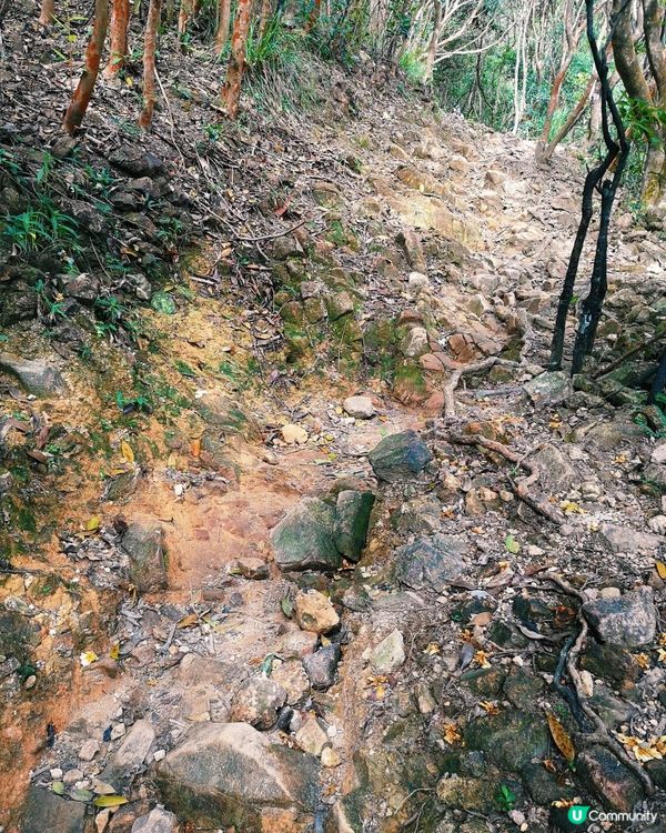 [行山要打卡] 22 - 彎曲山