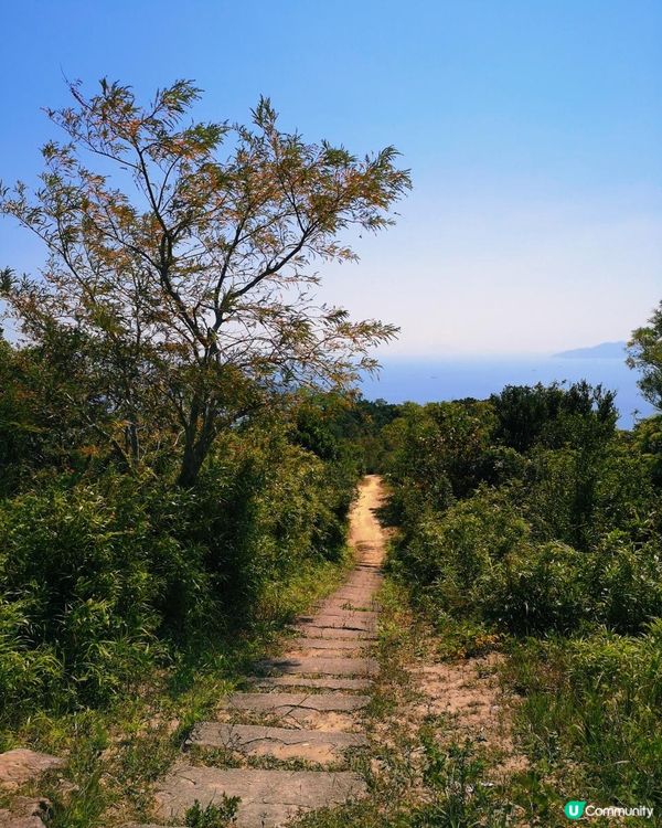 [行山要打卡] 21 - 老人山。廟仔墩。十塱。梅窩