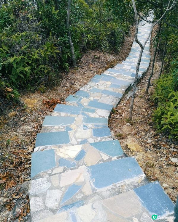 [行山要打卡] 15 - 藍地水塘