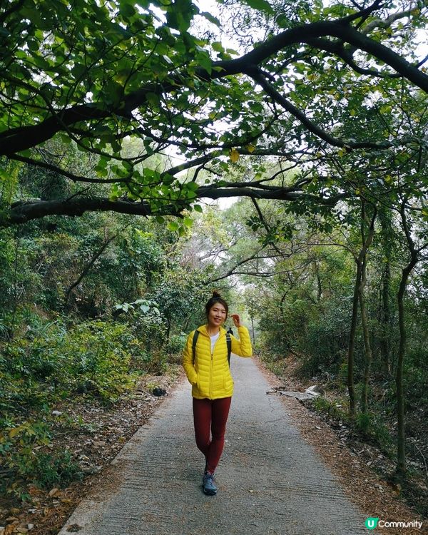 [行山要打卡] 15 - 藍地水塘