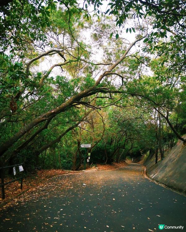 [行山要打卡] 13 - 坪洲。手指山