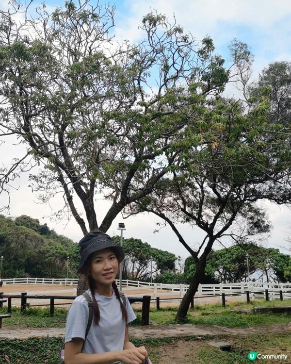 [行山要打卡] 12 - 龍蝦灣