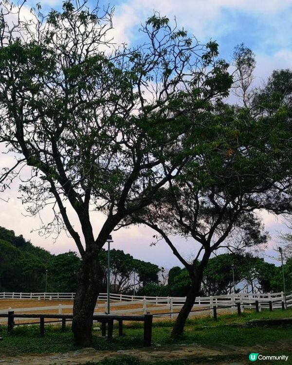 [行山要打卡] 12 - 龍蝦灣